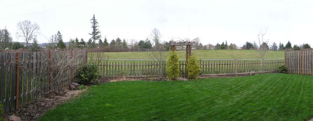 Backyard lawn with bushes and view into greenspace