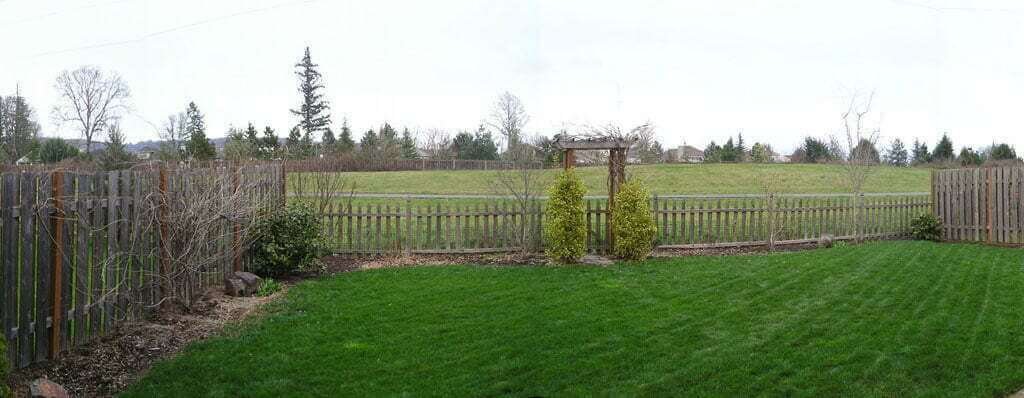 Portland backyard before grass yard and hedges