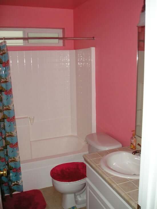 Upstairs Bath with fuscia/pink walls