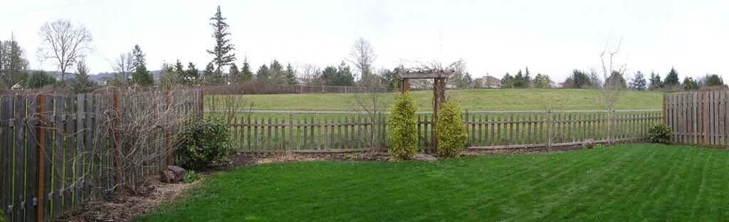 Backyard view into greenspace with lawn in foreground