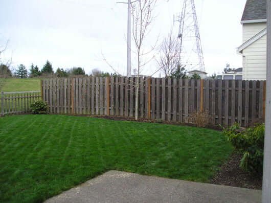 right side of yard with lawn and small tree