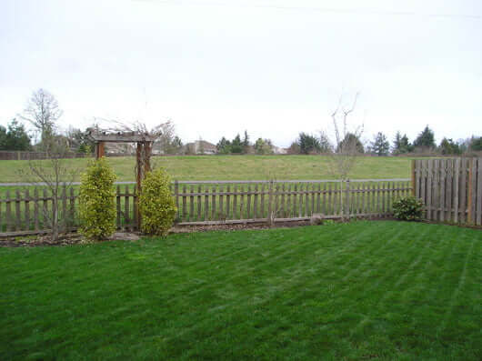 backyard view with lawn and back fence