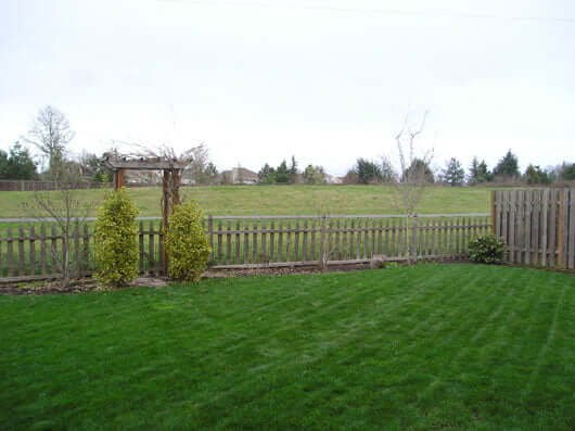 backyard view with lawn and back fence