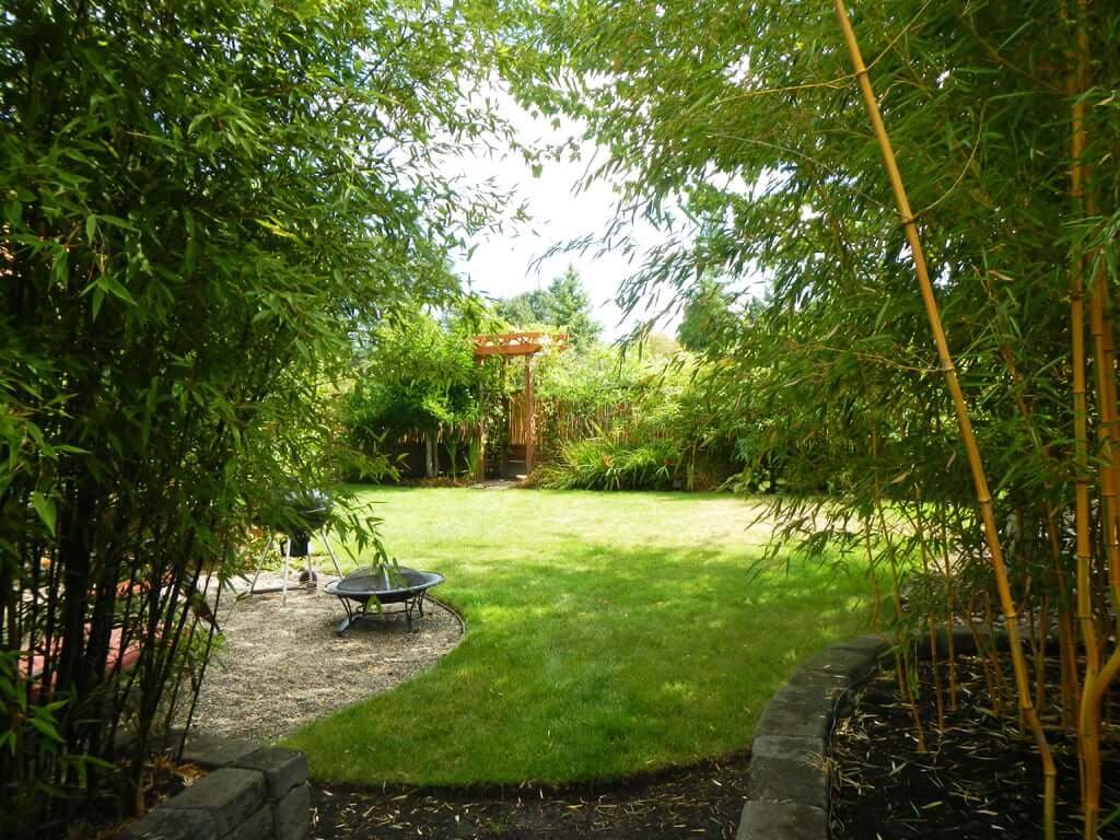 View through bamboo tunnel to backyard