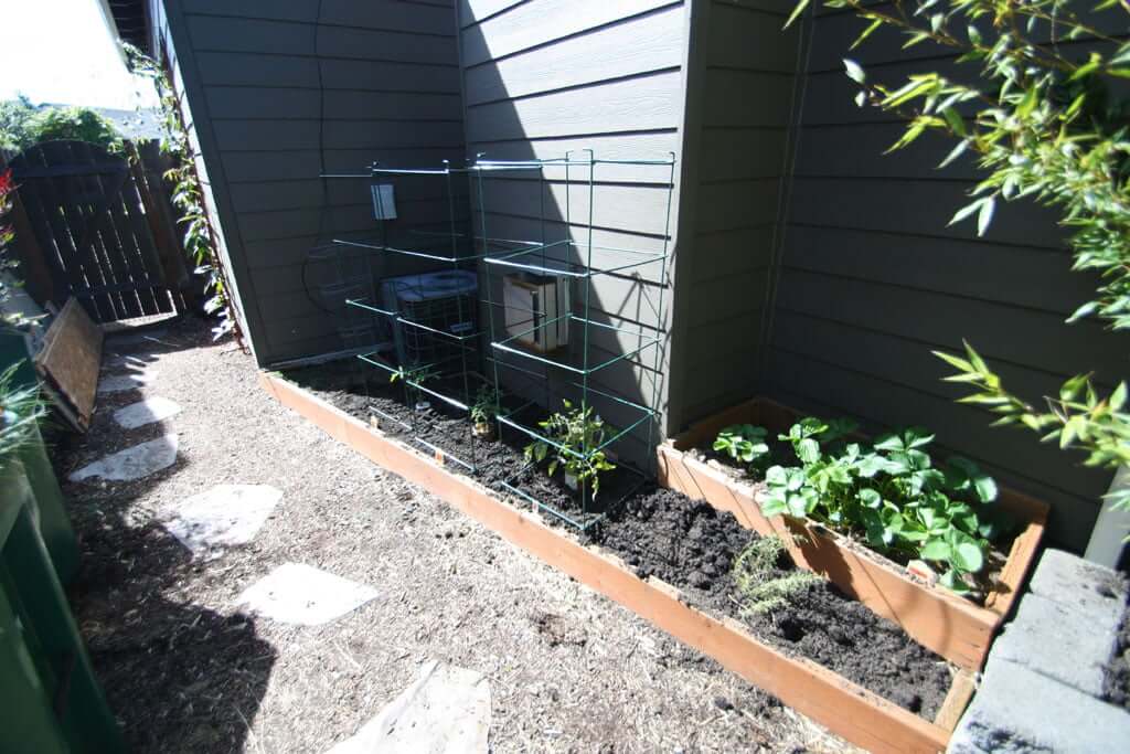 Side yard view showing raised bed with tomatoes and strawberries