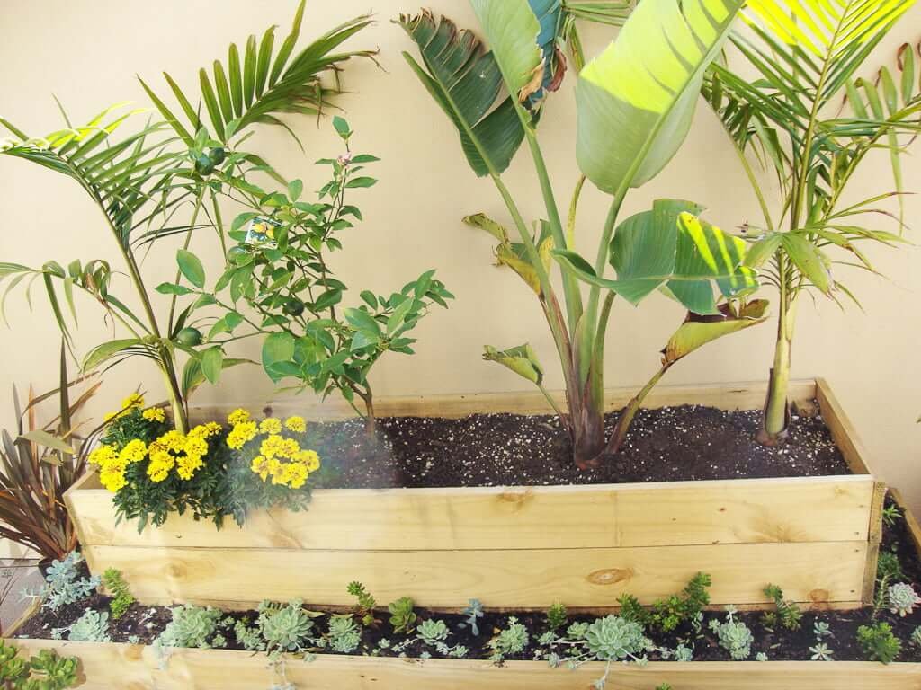 plants planted in wooden planter with succulents