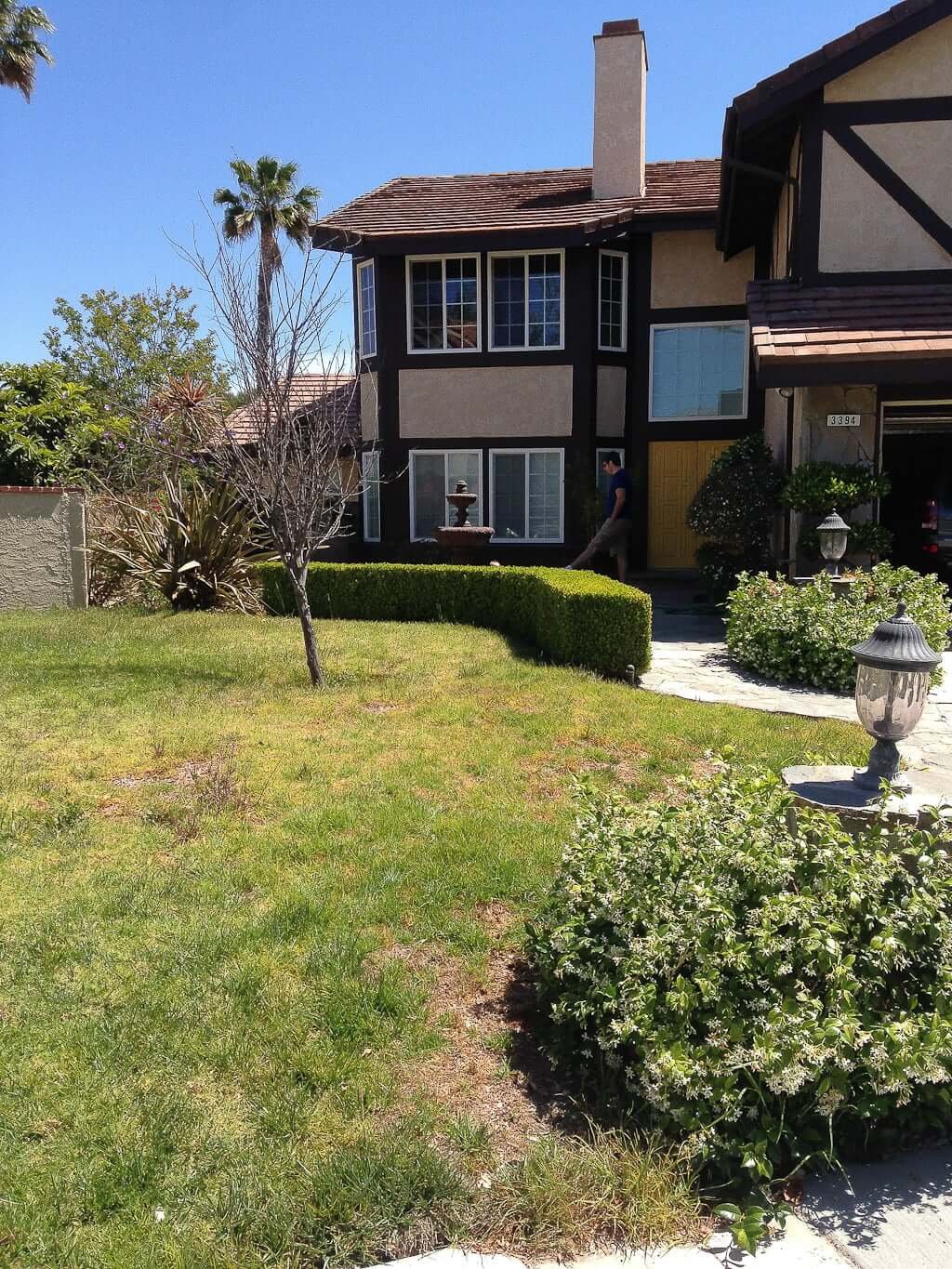 front yard of grass and tree with jasmine around pillar