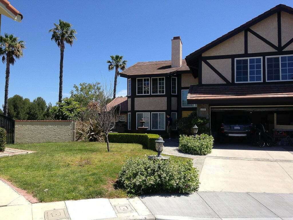 front yard view of grass with tree