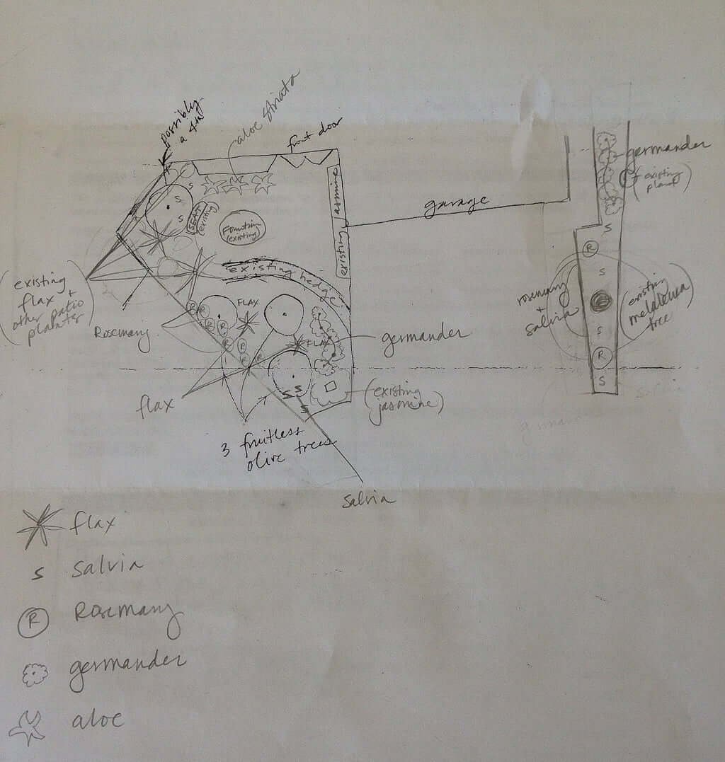 Sketch of front yard design