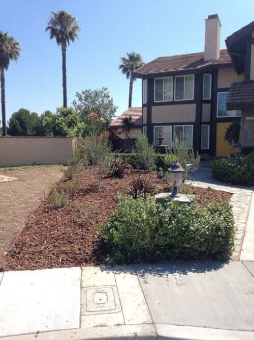 Read more about the article 9 Steps to No Grass Landscaping Front Yard (w/Before & Afters)