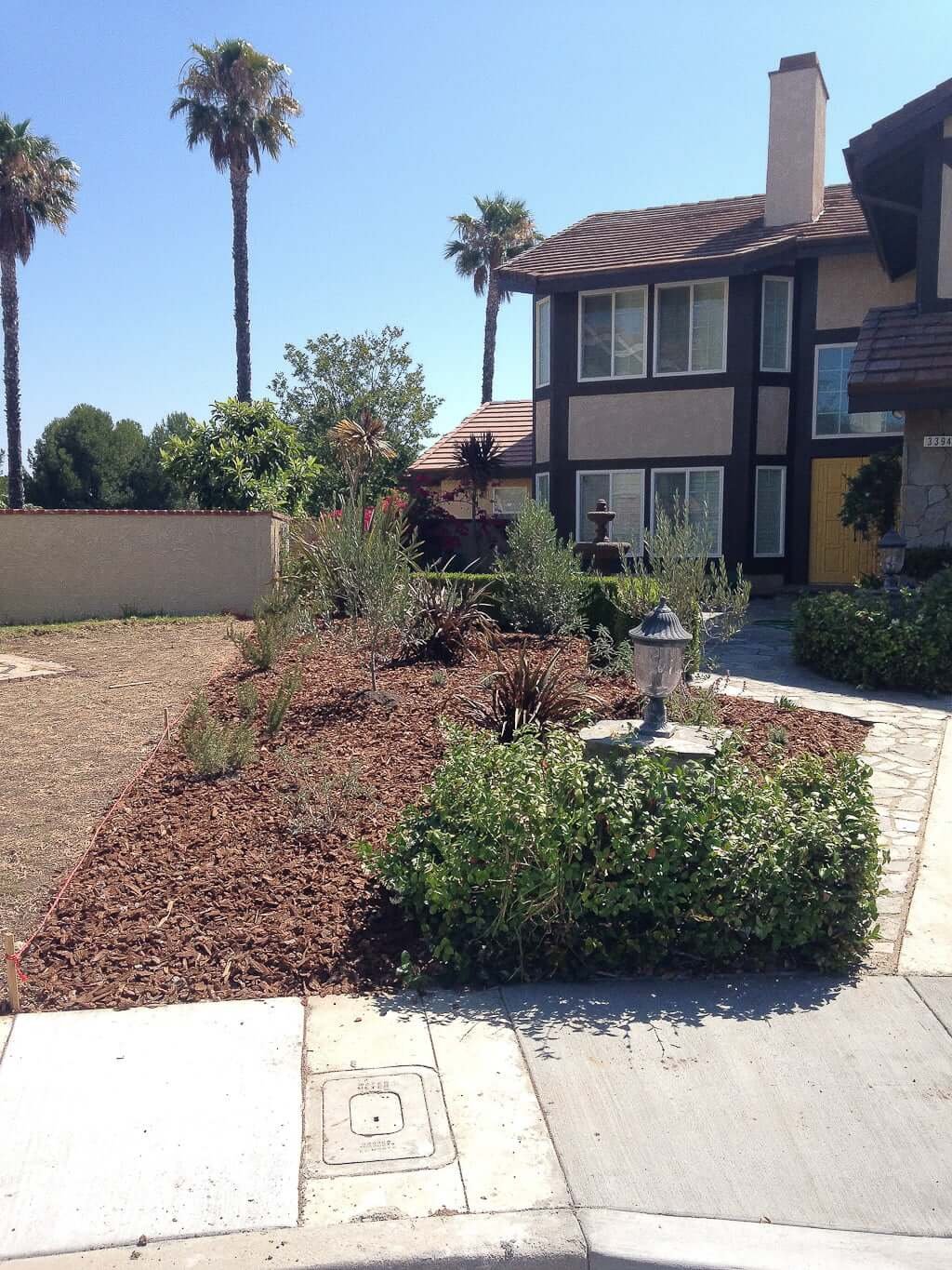 front yard with plants planted in ground and mulch