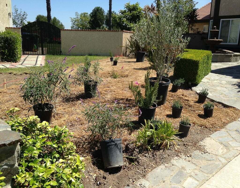 front yard with potted plants in places