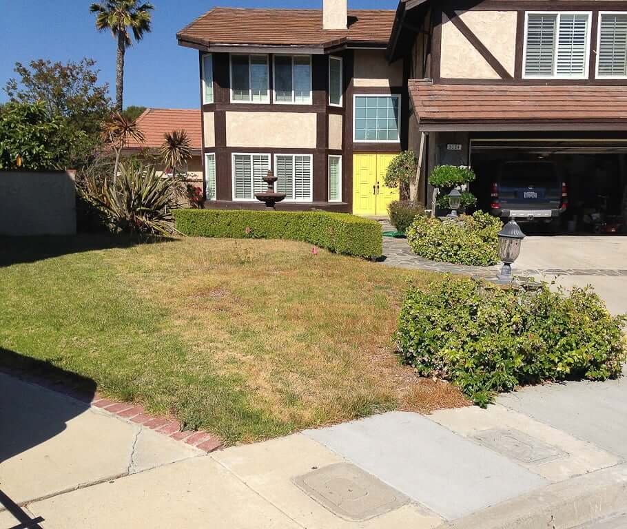 front yard with dead grass and tree removed