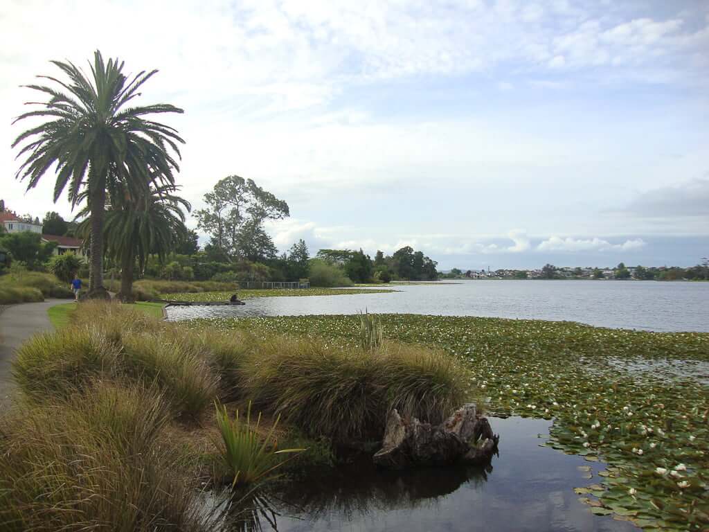 lake with lilypads and path alongside