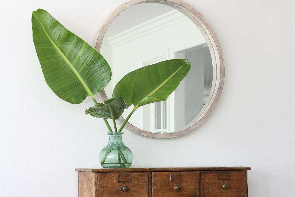 bird of paradise leaves in vase on top of set of drawers, with round mirror on wall