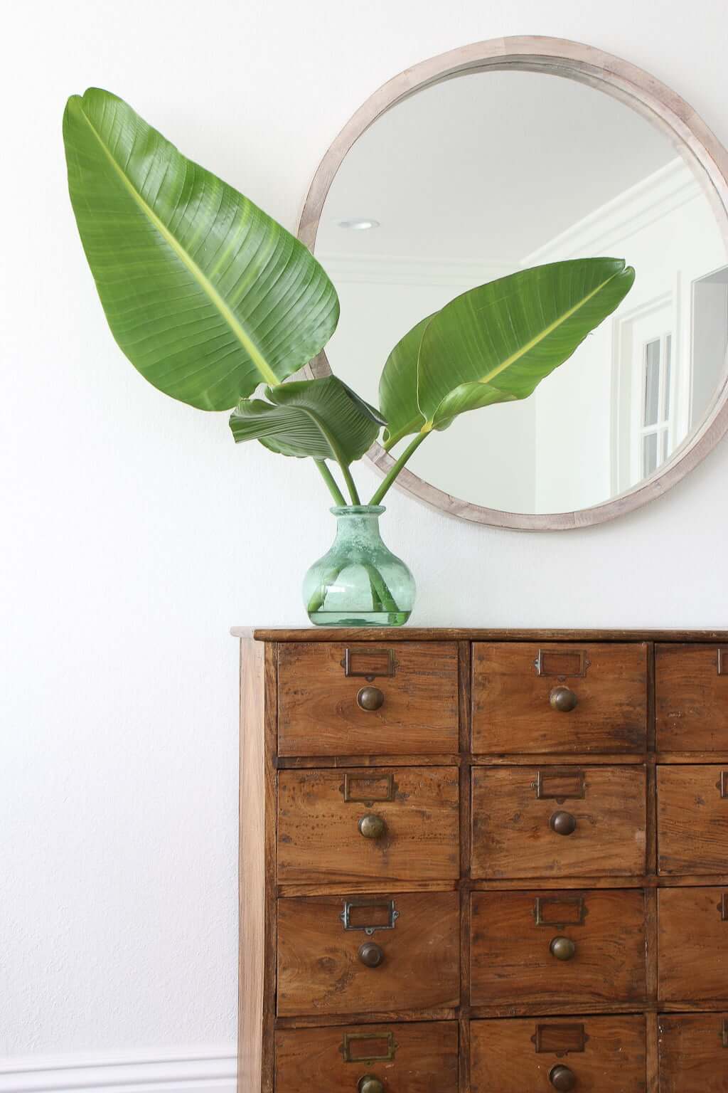 bird of paradise leaves on top of set of drawers, with mirror on wall