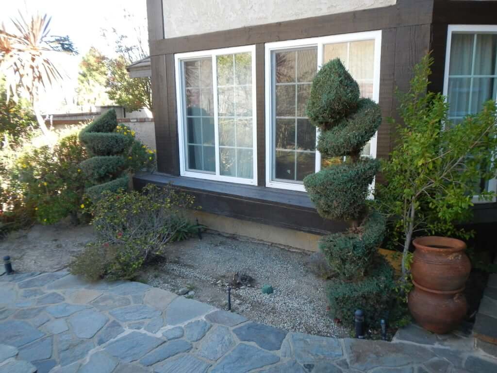 windows overlooking flagstone patio and two sculpted plants