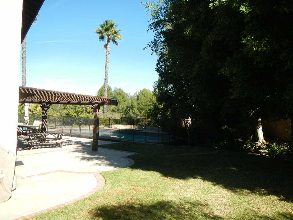 view across grass to pergola and pool, with large ficus trees on right