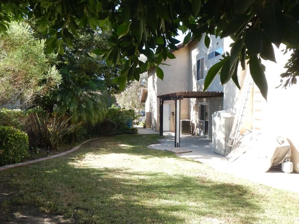 view under tree across lawn to side yard with small pergola