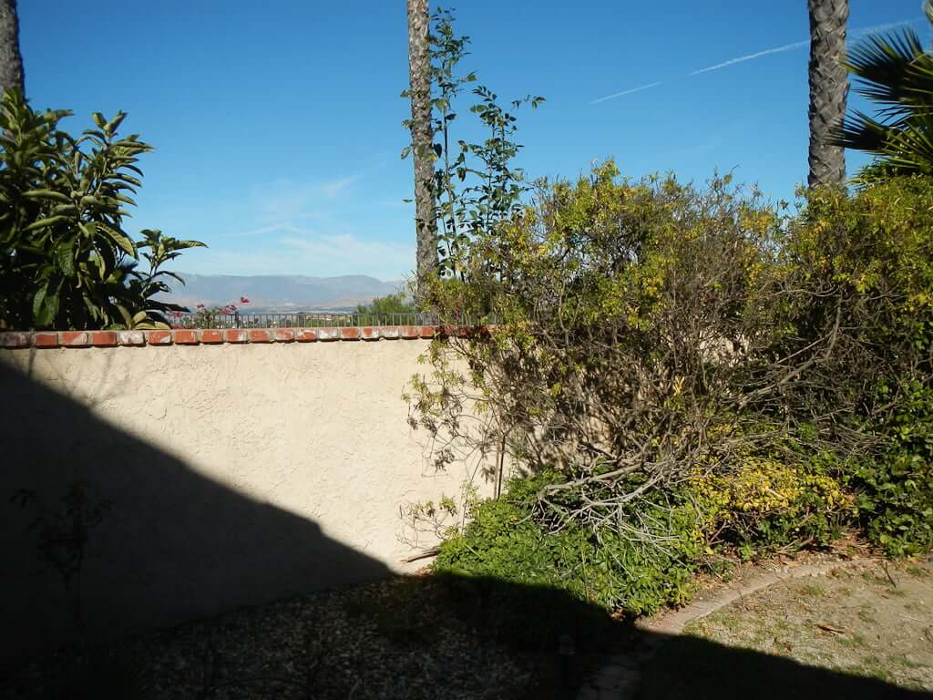 partially obstructed view of mountains, overgrown bushes in way