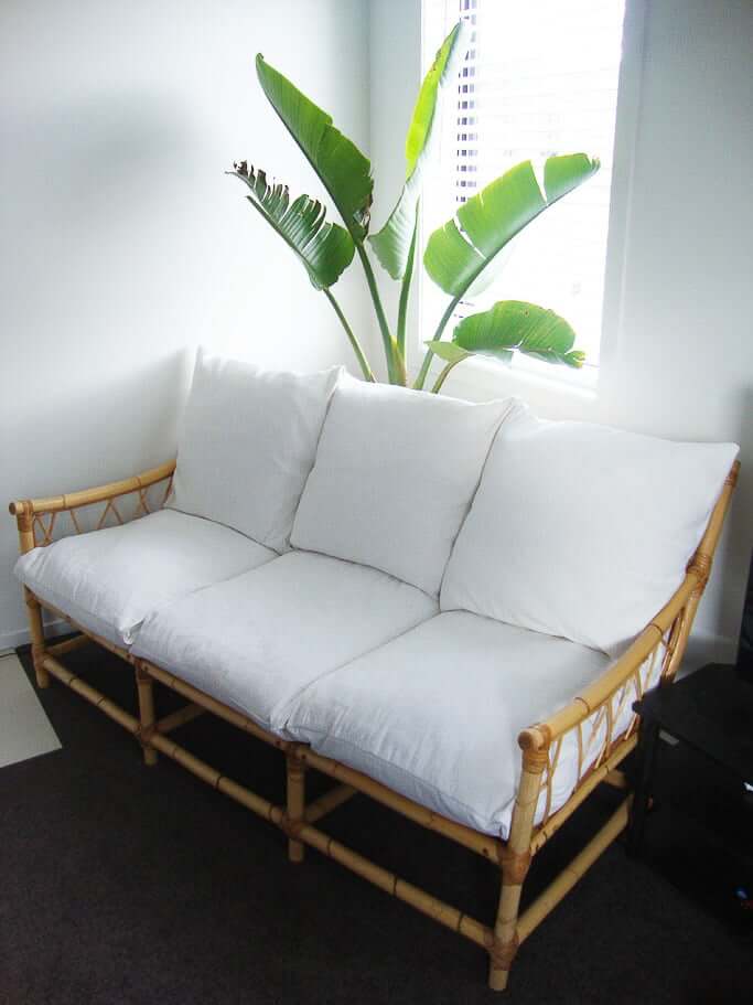 bamboo couch with bird of paradise plant