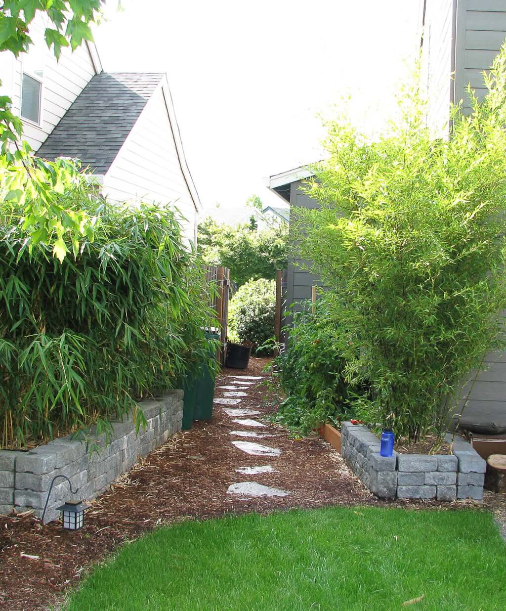 side yard path between bamboo in raised planter beds with stepping stones