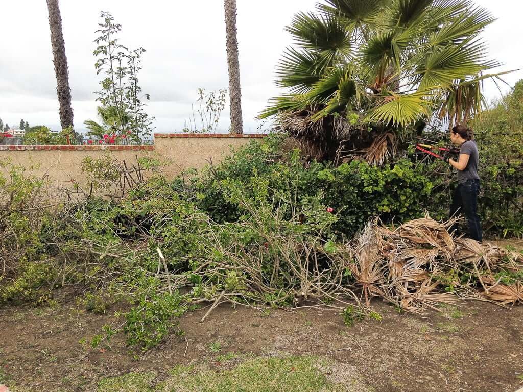 woman cutting down overgrown shrubs blocking view