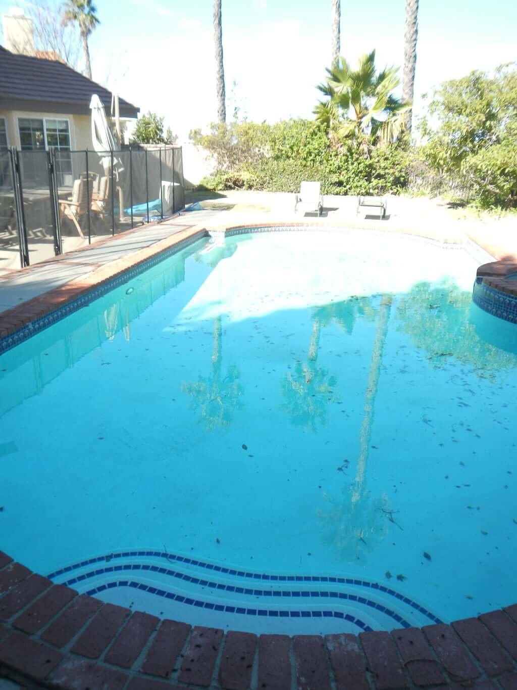 view of pool with overgrown landscaping in backyard