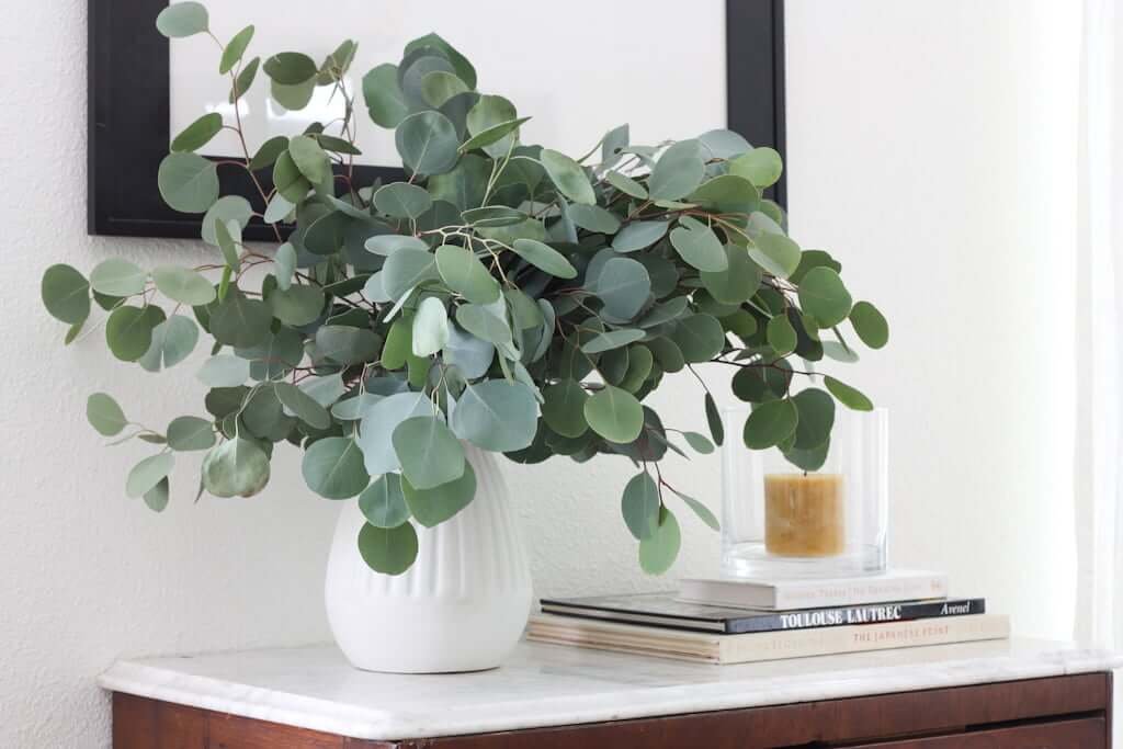 eucalyptus leaves in vase on table with candle