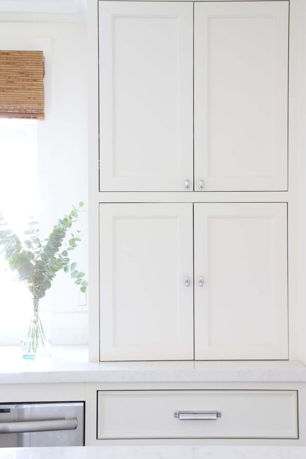 white kitchen appliance cabinet storage with eucalyptus on counter