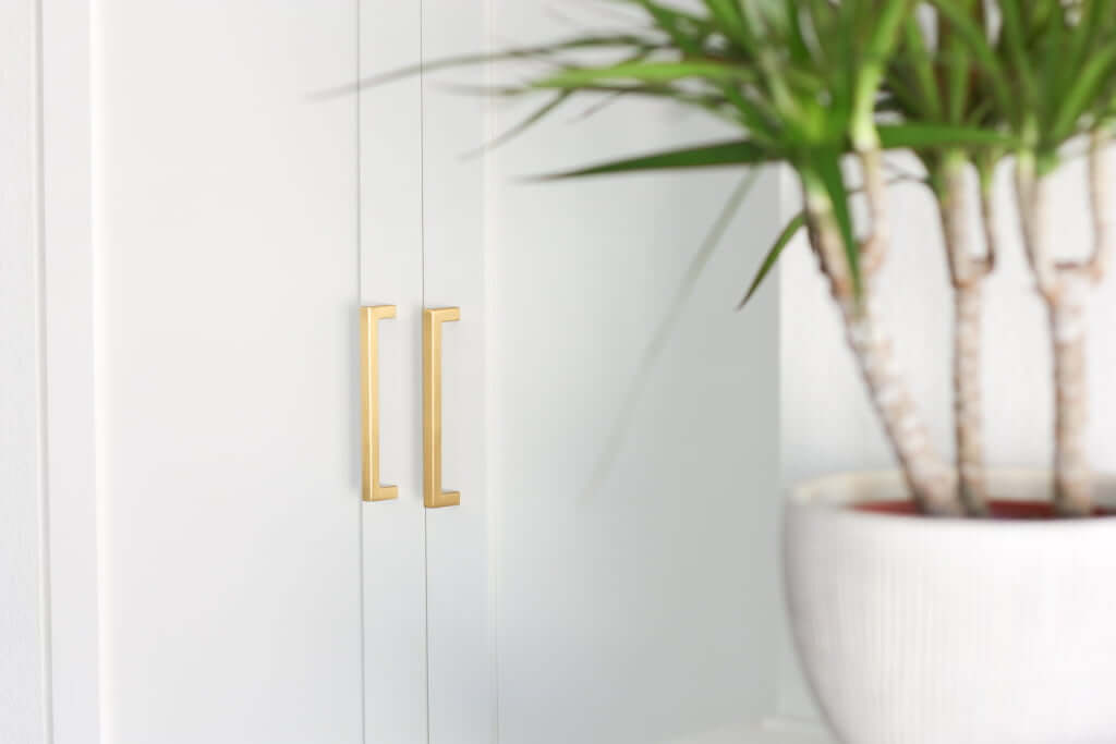 white shaker cabinet doors with brass hardware, plant in foreground