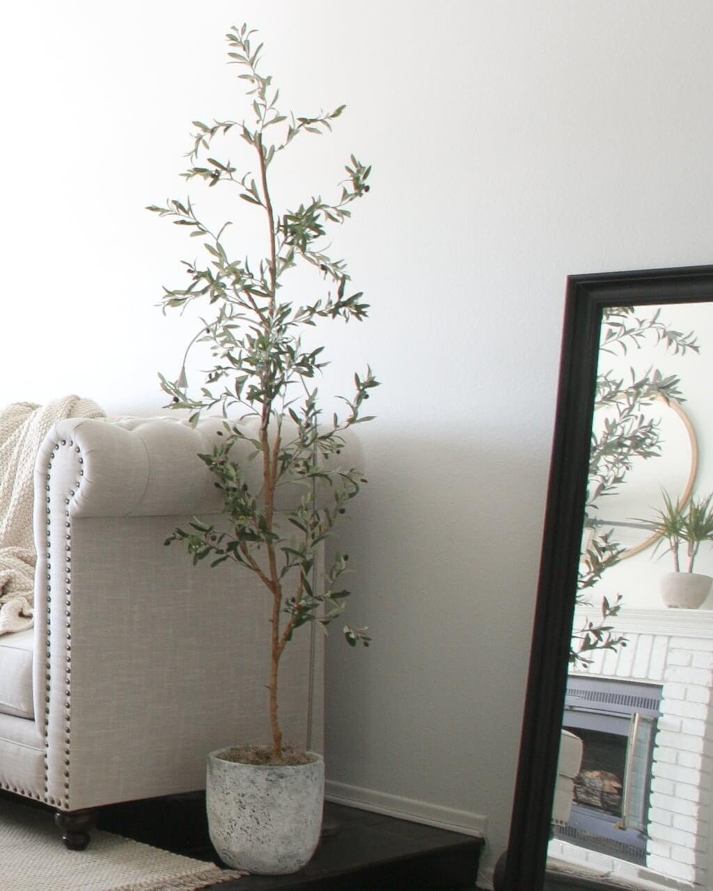 styled faux olive tree in concrete planter next to couch