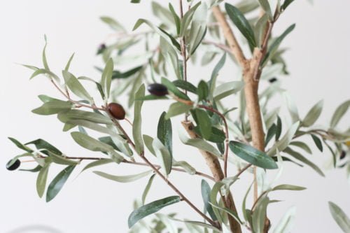 Read more about the article The Best Faux Olive Tree (Plus 3 Tricks to Style It Realistically!)
