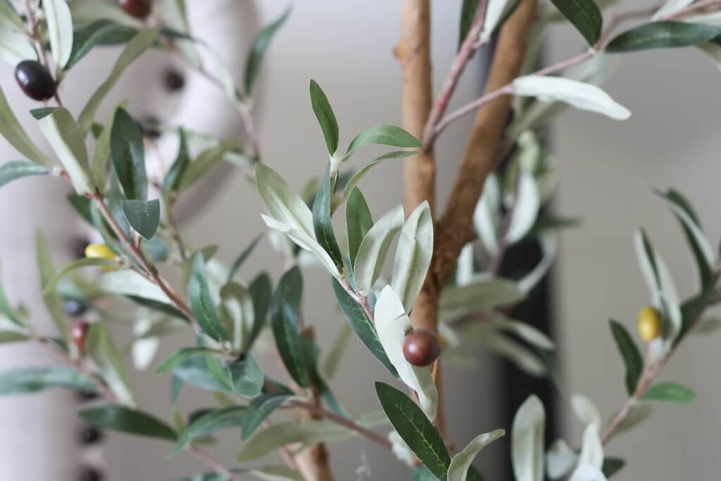 faux olive tree with olives, closeup of leaves and fruit 