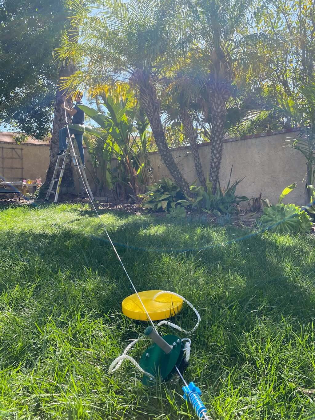 backyard with man installing kids zipline with a tree