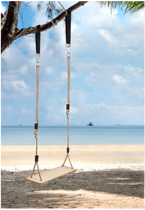 Red Double Rope Tree Swing. Classic.