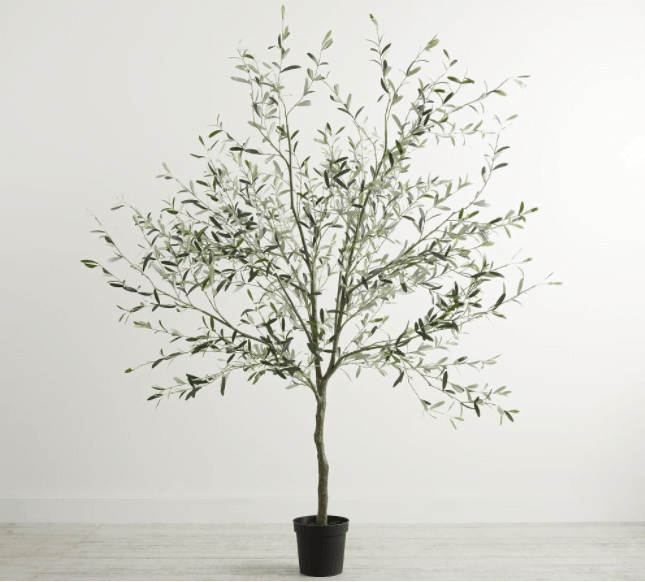 How to Repot a Silk Tree - Simple Practical Beautiful