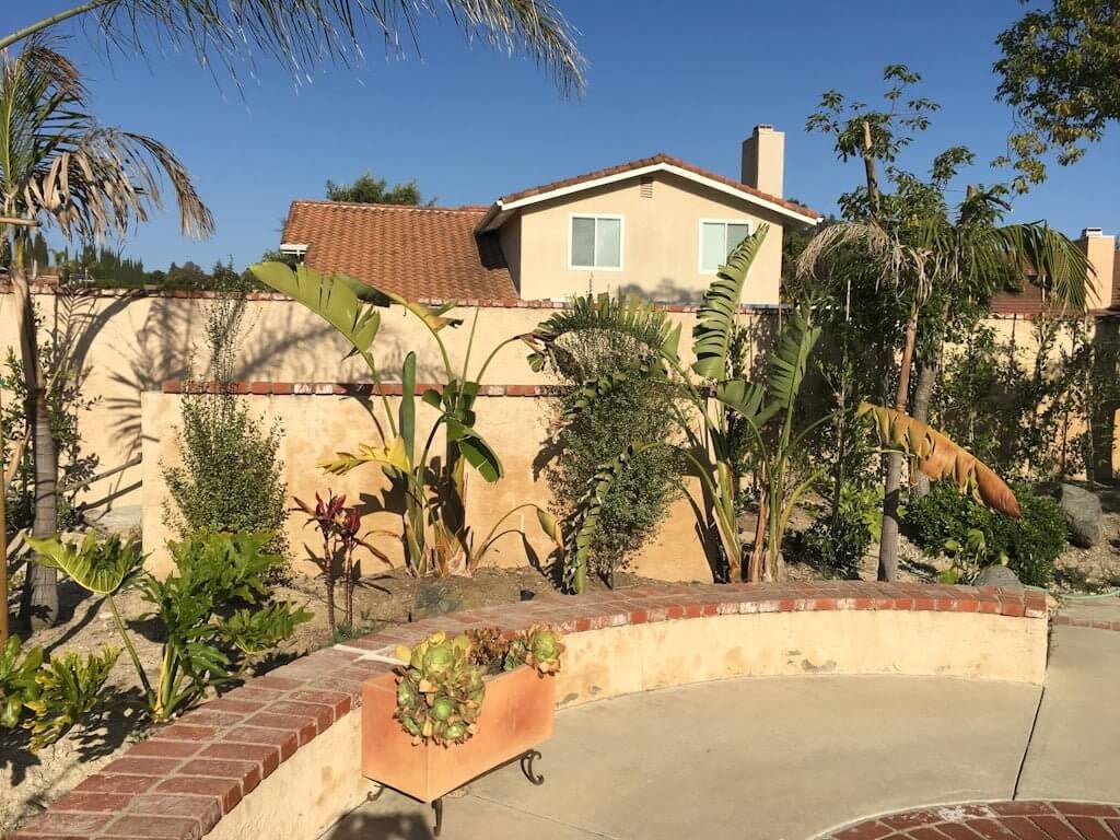 plants dying in sun in front of pool equipment wall