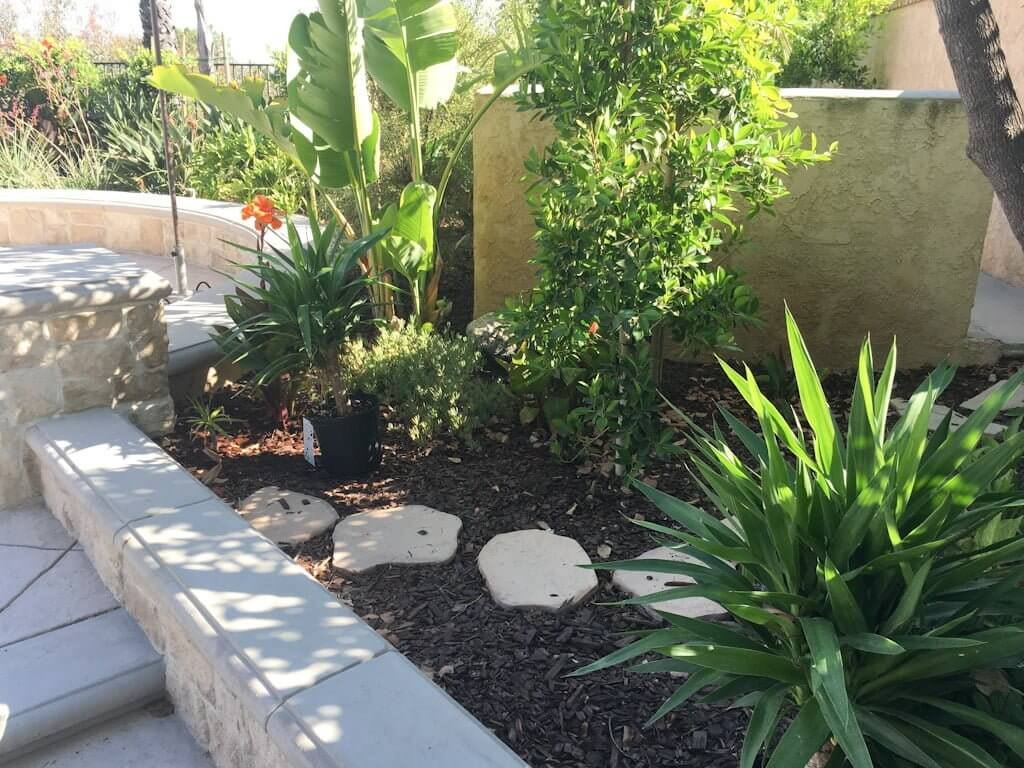 landscaping around pool equipment wall hidden