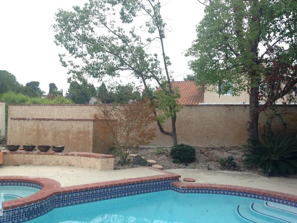 older pool and pool wall with plants