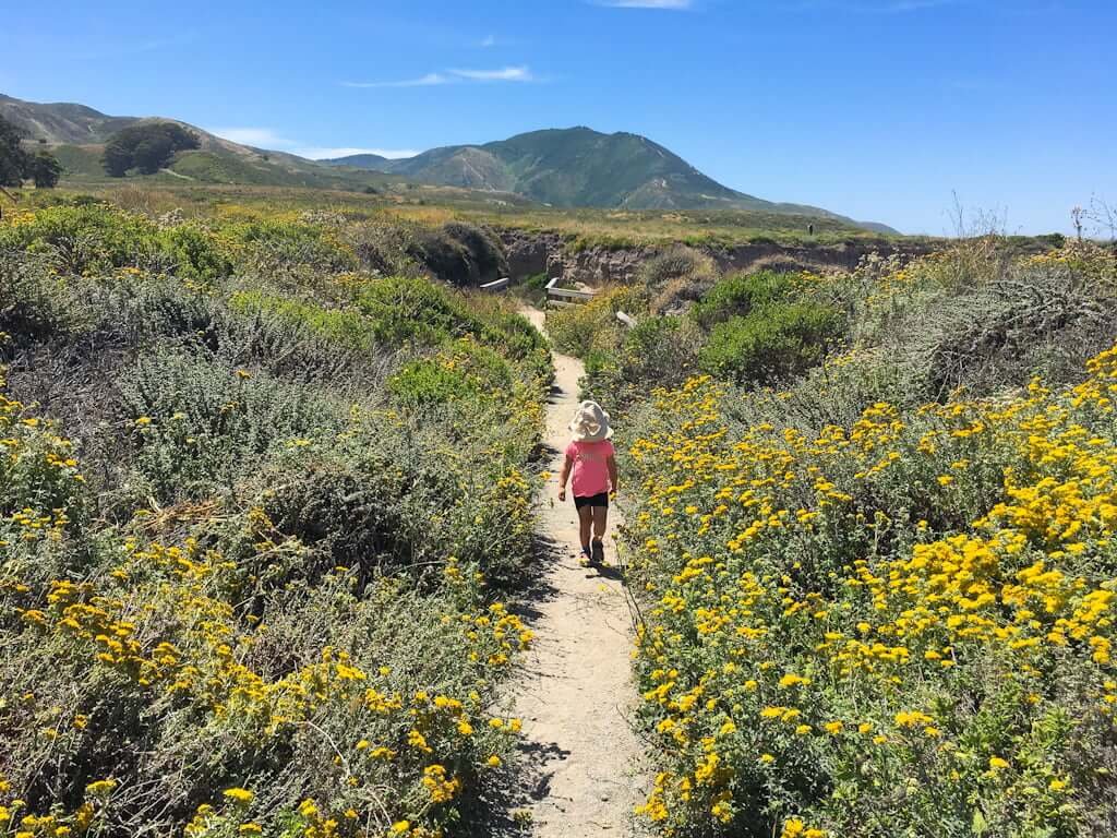 girl walking down path with wildflowers in foreground and mountains in background