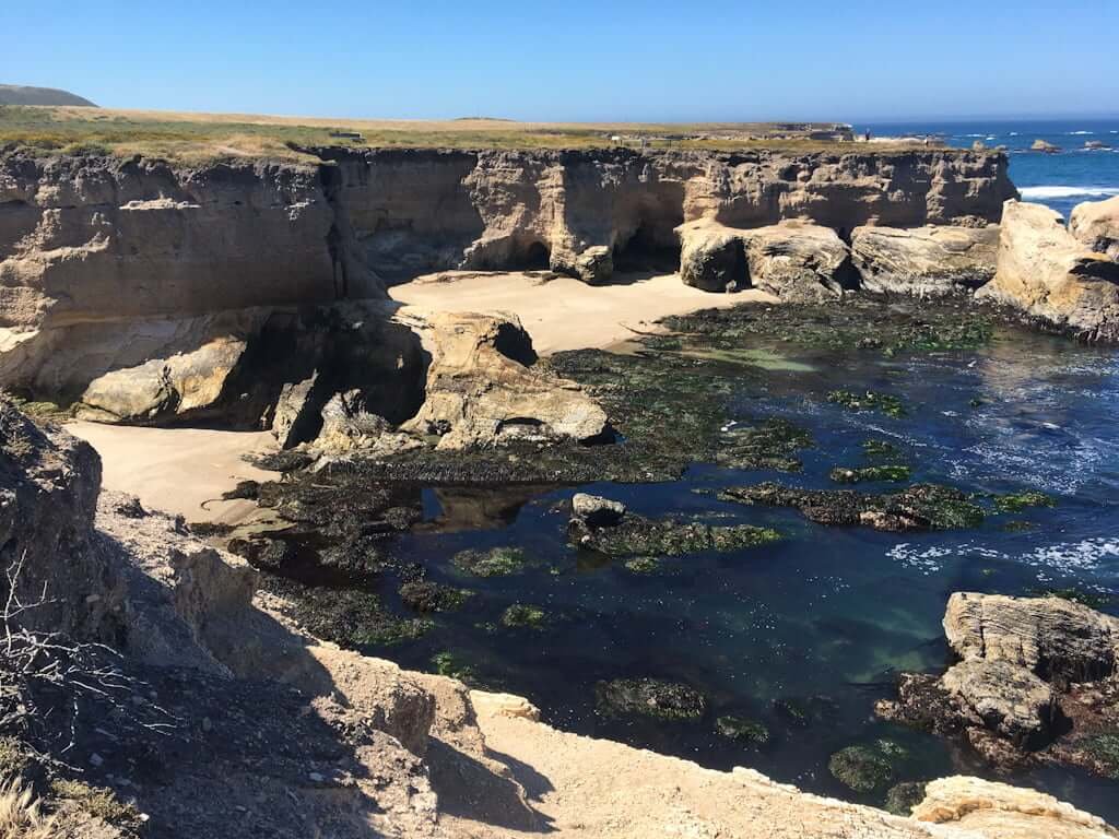 rocky cliffs going down to beaches and ocean with kelp