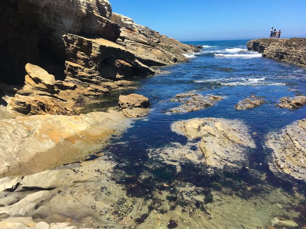 narrow ocean inlet with rocks and seaweed