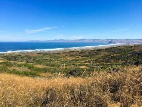 Montana de Oro Beach Itinerary (With Or Without Kids)!