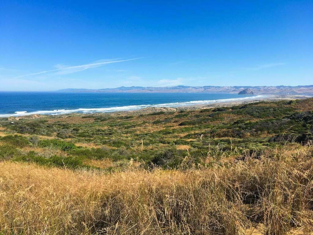 view from Montana de Oro to Morro Bay