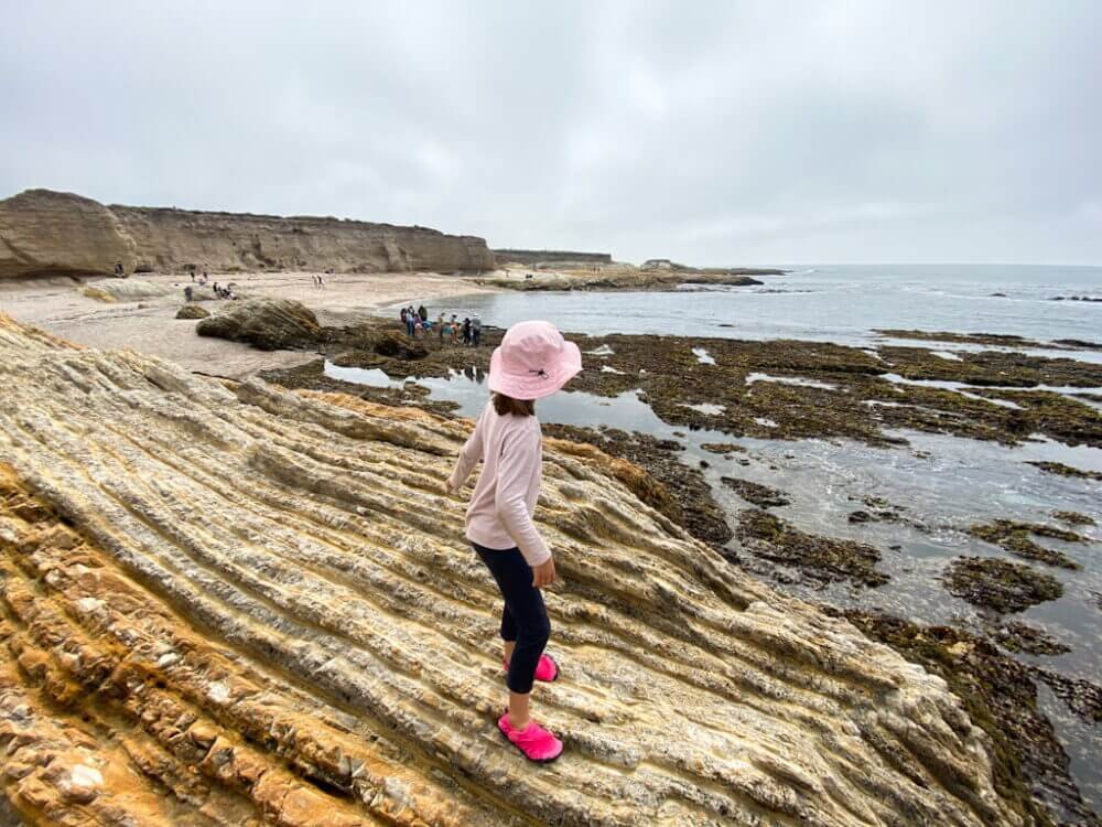 Montana de Oro Bluff Trail: The Best 2-Hour Itinerary (If You Gotta ...