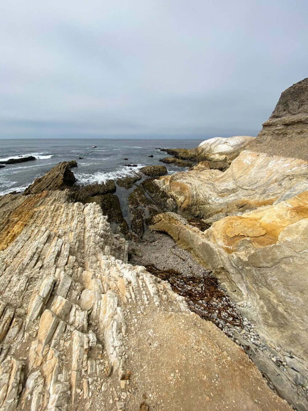 Montana de Oro Bluff Trail: The Best 2-Hour Itinerary (If You Gotta ...