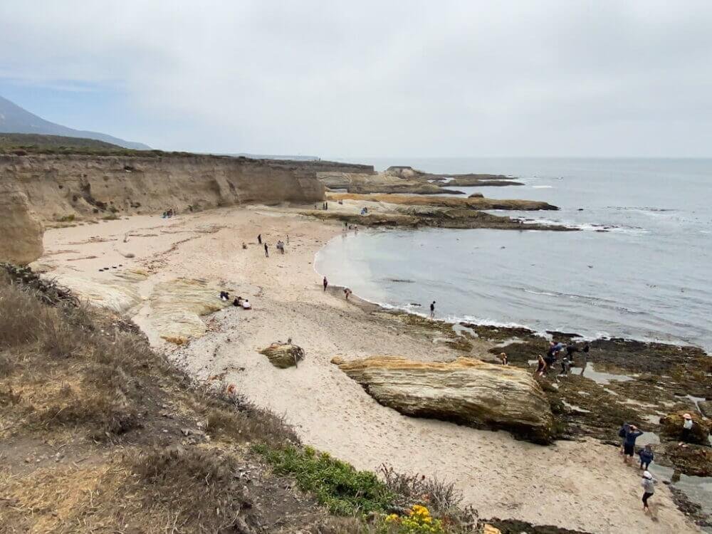 Montana de Oro Bluff Trail: The Best 2-Hour Itinerary (If You Gotta ...