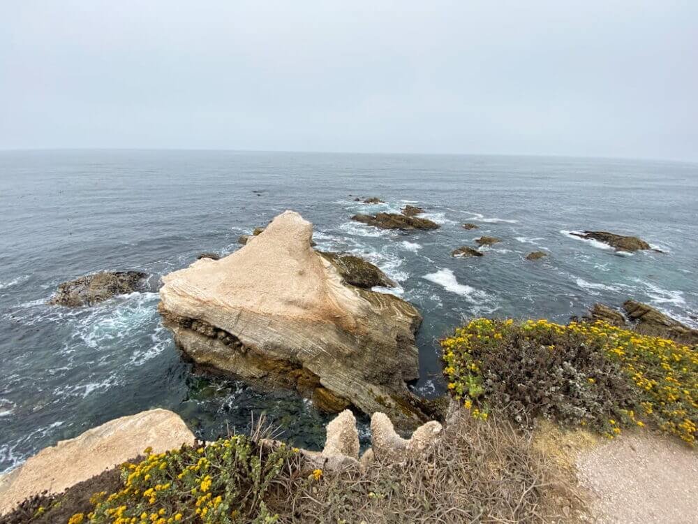 Montana de Oro Bluff Trail: The Best 2-Hour Itinerary (If You Gotta ...