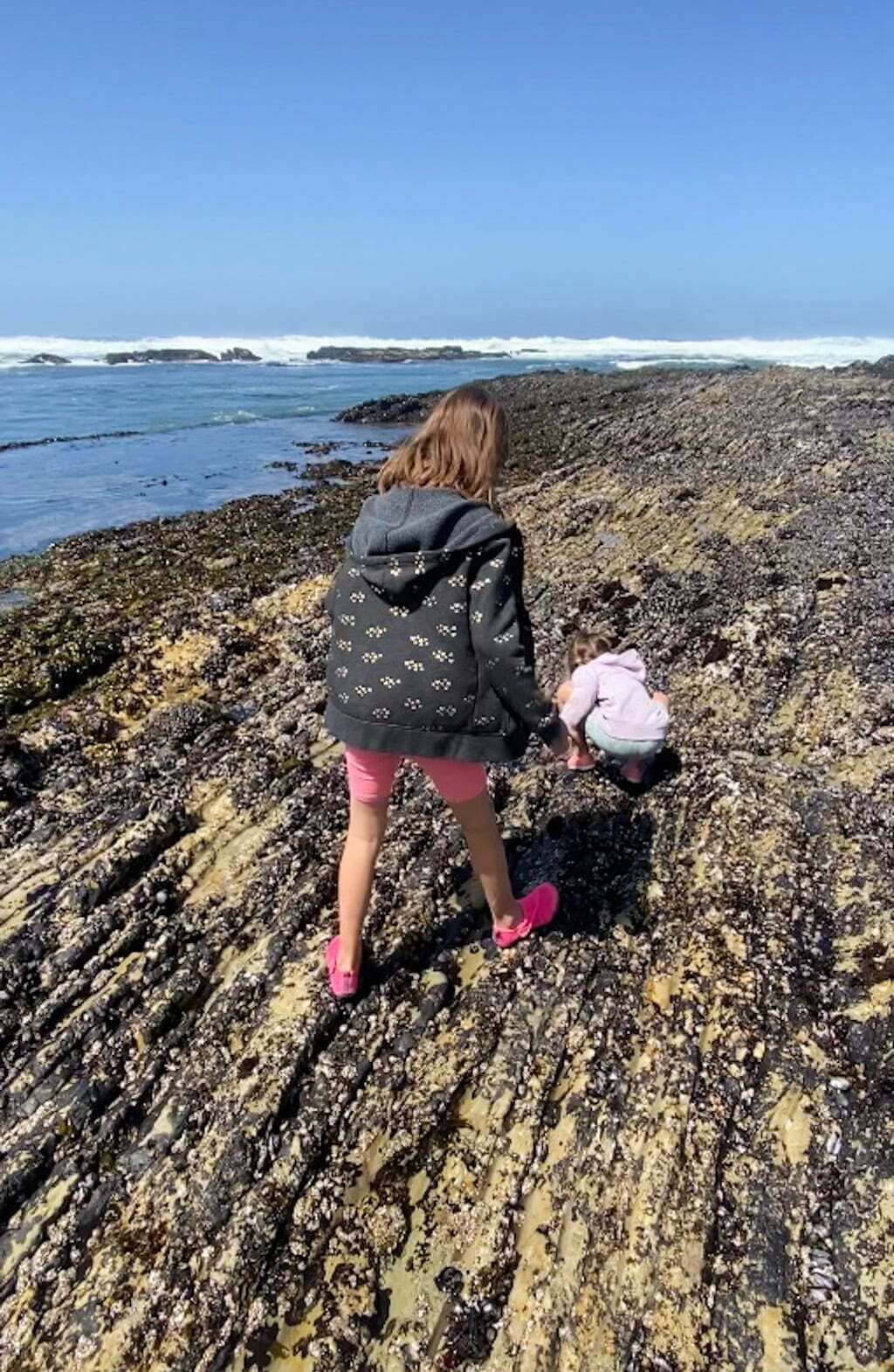 two kids exploring tidepools